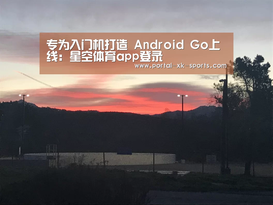 专为入门机打造 Android Go上线：星空体育app登录