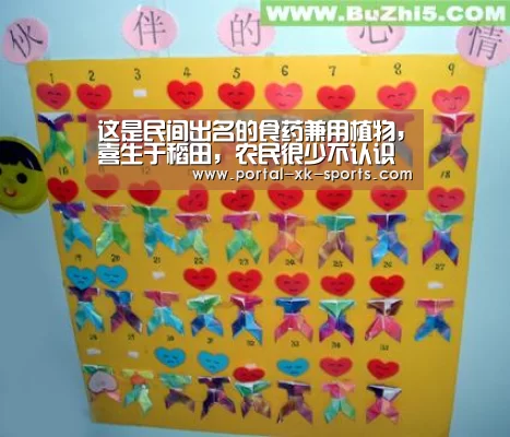 星空体育app登录