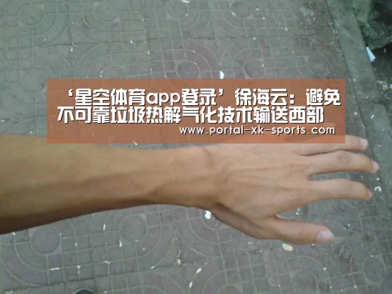‘星空体育app登录’徐海云：避免不可靠垃圾热解气化技术输送