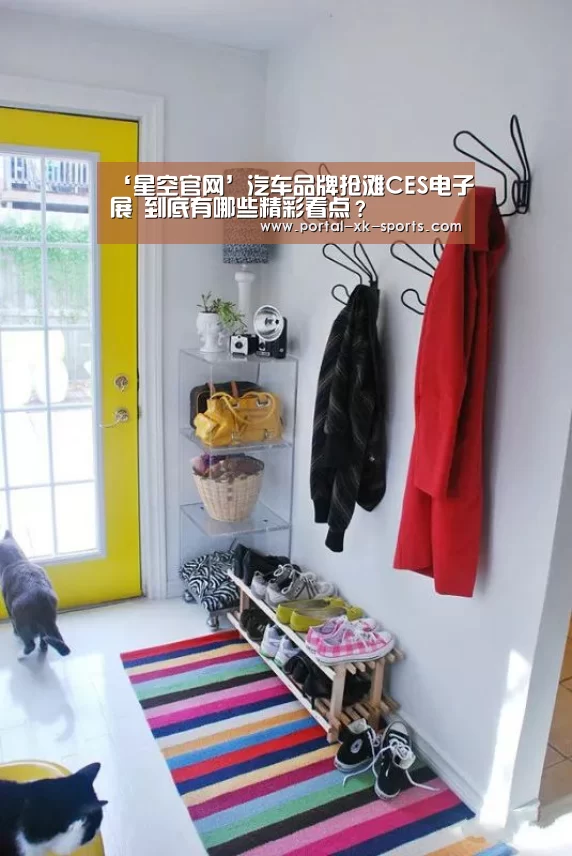 ‘星空官网’汽车品牌抢滩CES电子展 到底有哪些精彩看点？