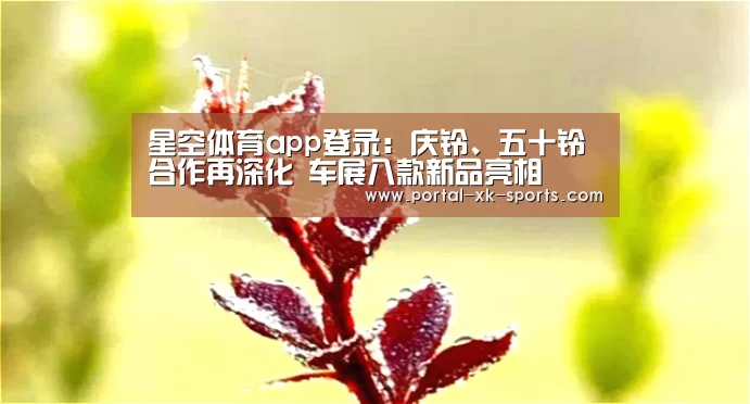 星空体育app登录