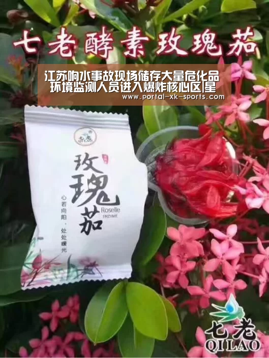 江苏响水事故现场储存大量危化品 环境监测人员进入爆炸核心区|