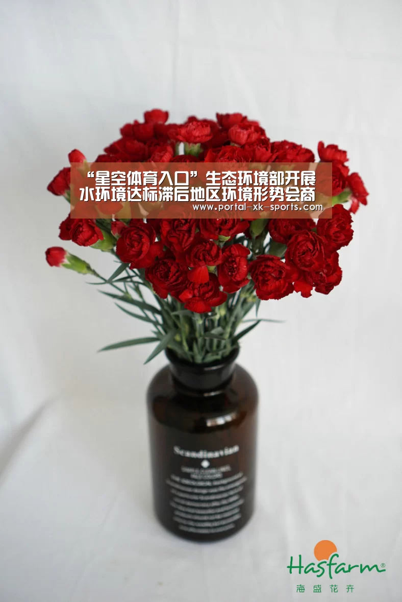 星空体育app登录
