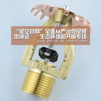 “星空官网”全面从严治党是根本保证——生态环境部开展专项治理