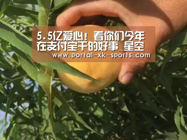 星空体育app登录