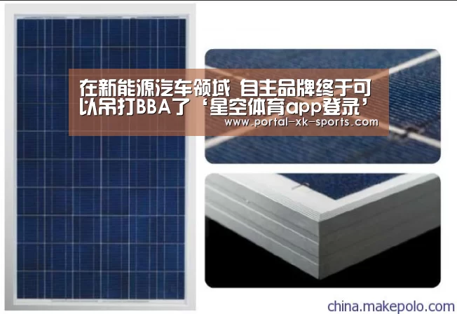 在新能源汽车领域 自主品牌终于可以吊打BBA了‘星空体育ap
