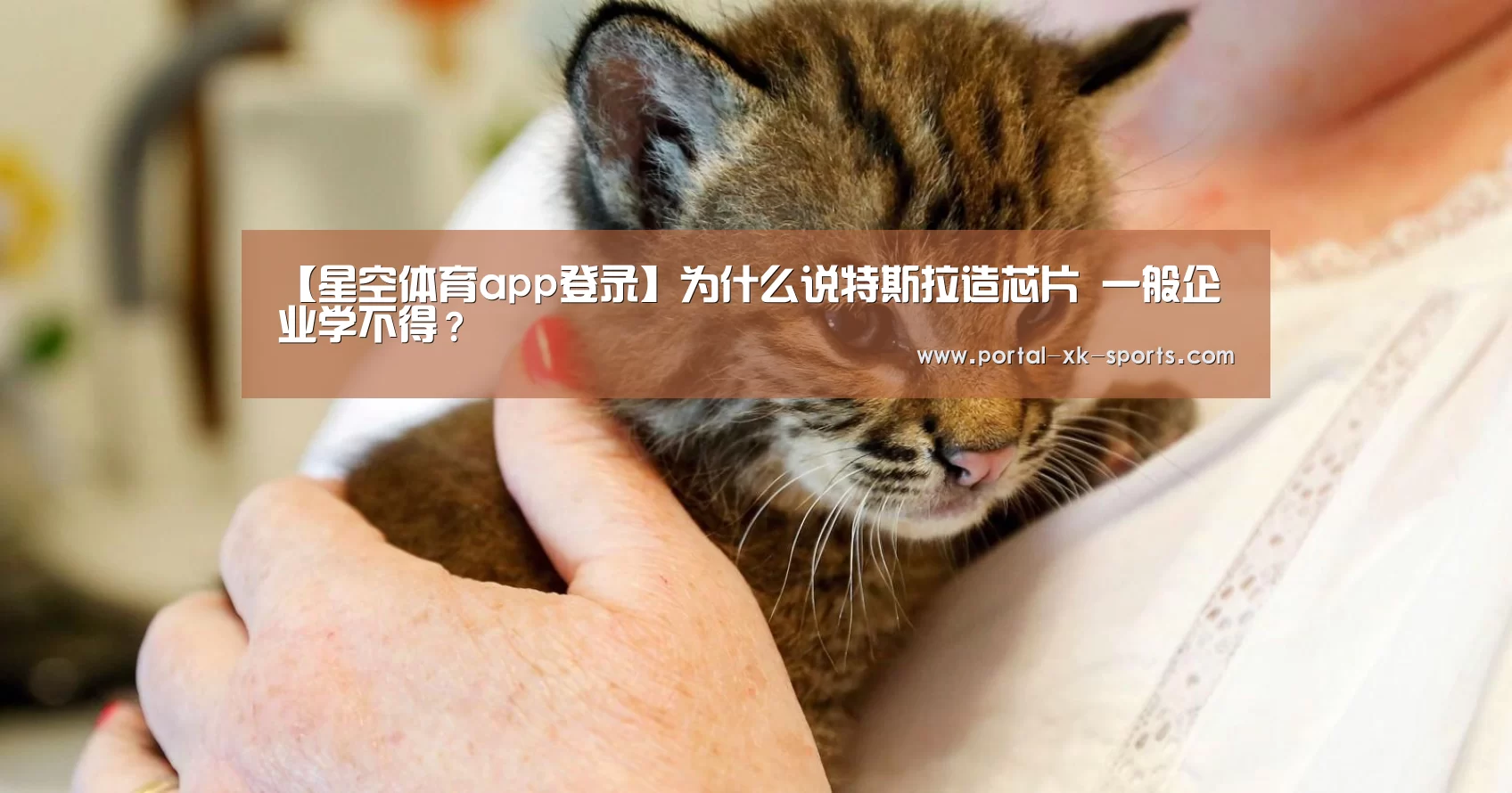 星空体育app登录