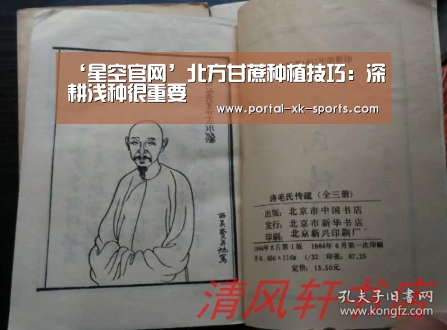 ‘星空官网’北方甘蔗种植技巧：深耕浅种很重要