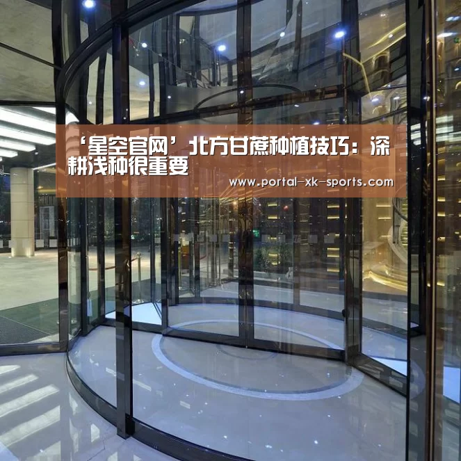 星空体育app下载